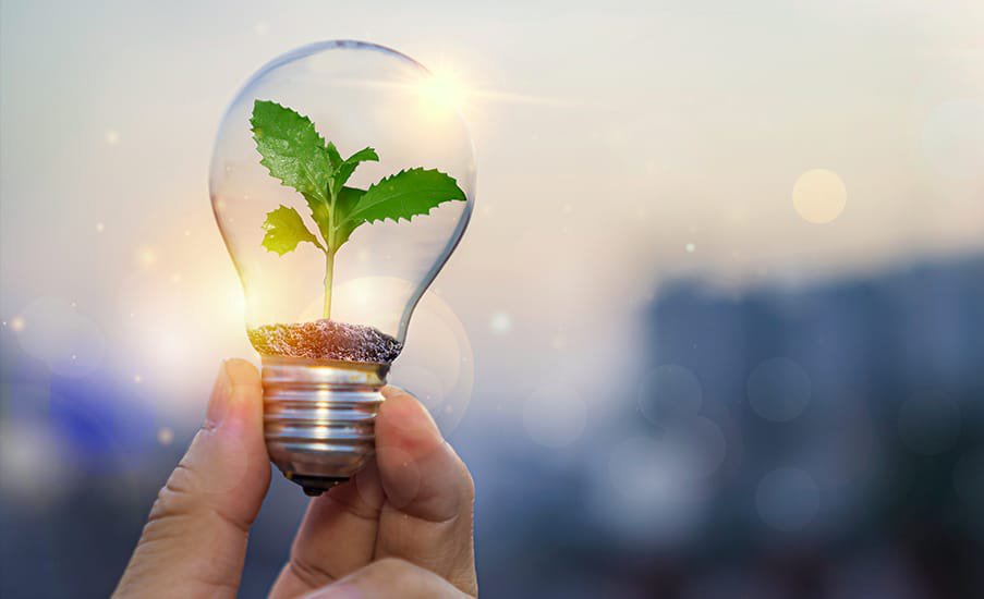 Consultoria tecnológica SEM ecoTech